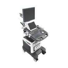 Prix ​​de machine d&#39;écho cardiaque d&#39;ultrason de Doppler de couleur médicale de 3D 4D